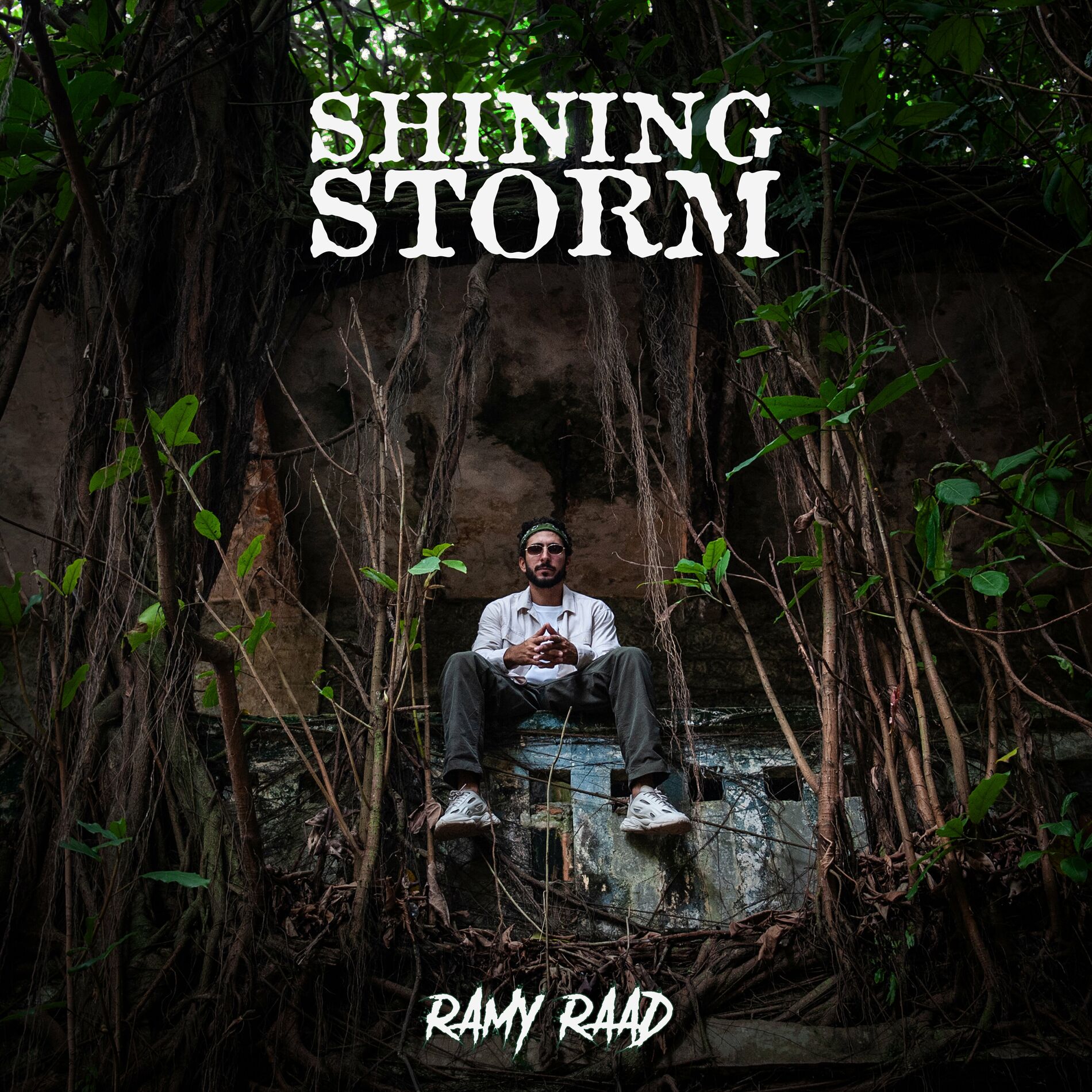 Album cover of Shining Storm