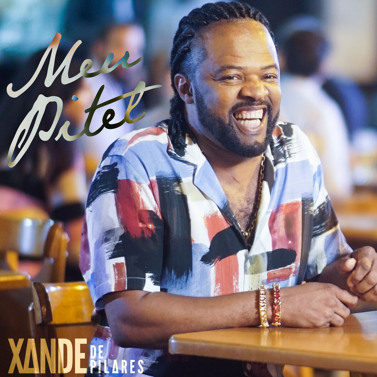 Album cover of Meu Pitel