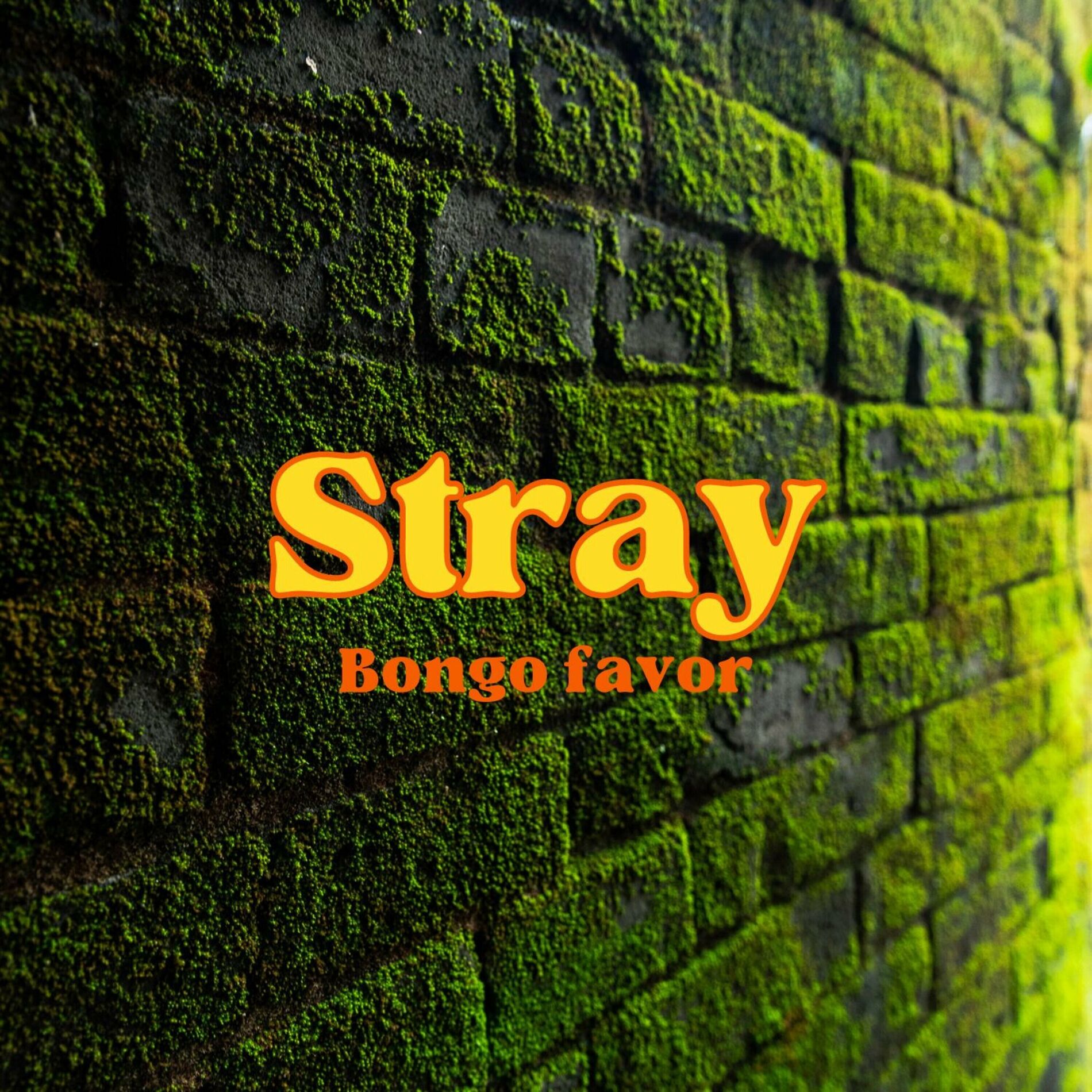Album cover of Stray Bongo Favor