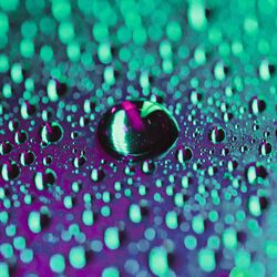 Cover of Rain