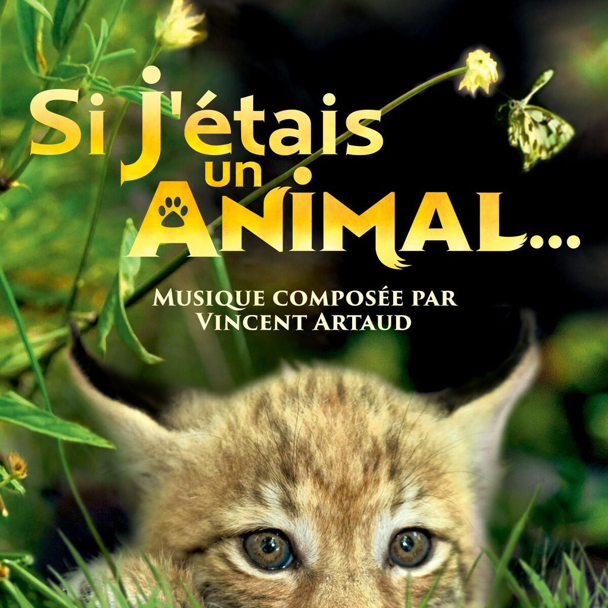 Album cover of Le Zèbre
