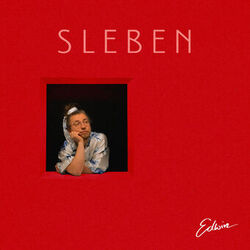 Cover of SLEBEN