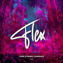 Cover of Flex