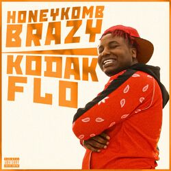 Cover of Kodak Flo