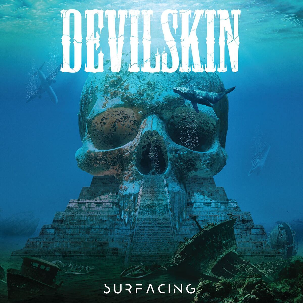 Album cover of Barracuda