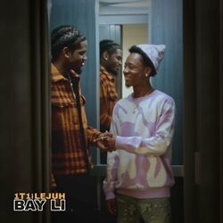 Cover of Bay Li