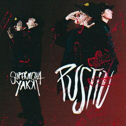 Cover of PUSTIU