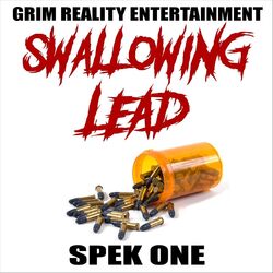Cover of Swallowing Lead