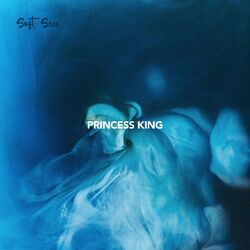 Cover of Princess King