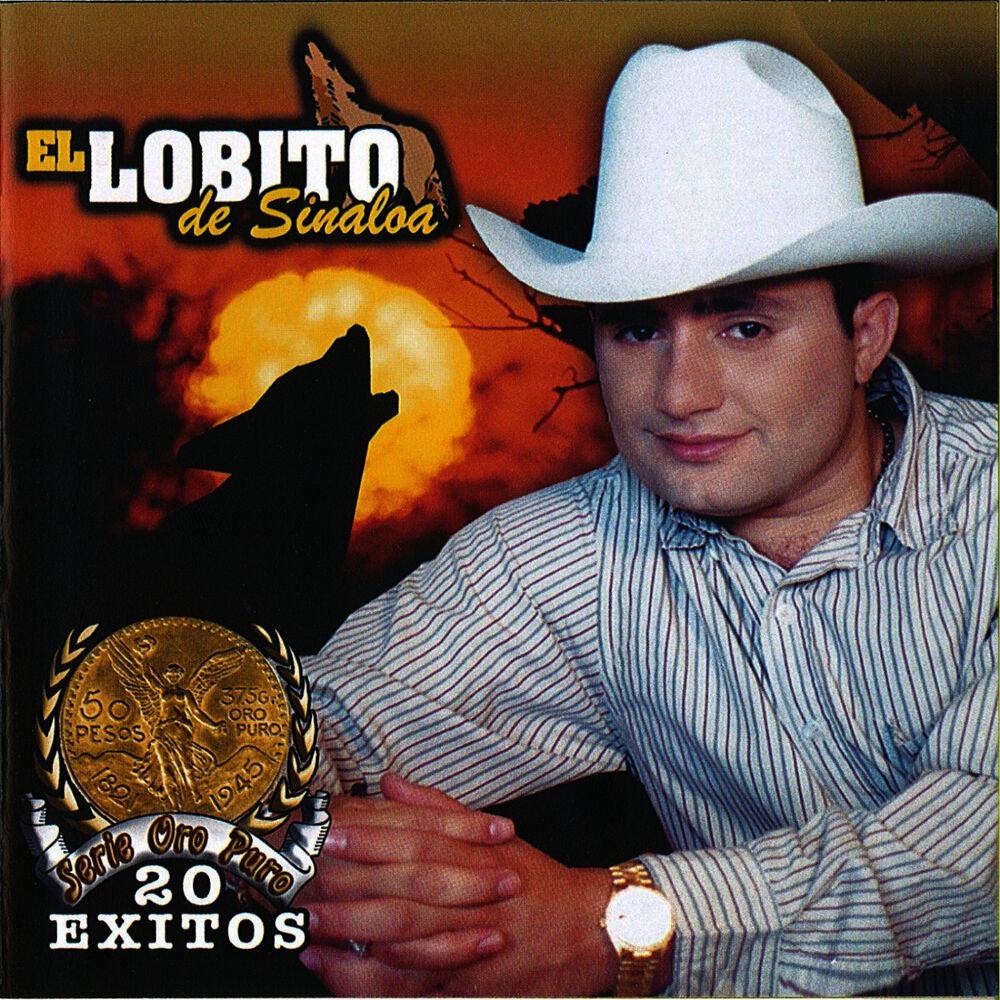 Picture of 20 Exitos