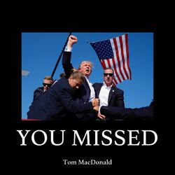 Cover of You Missed