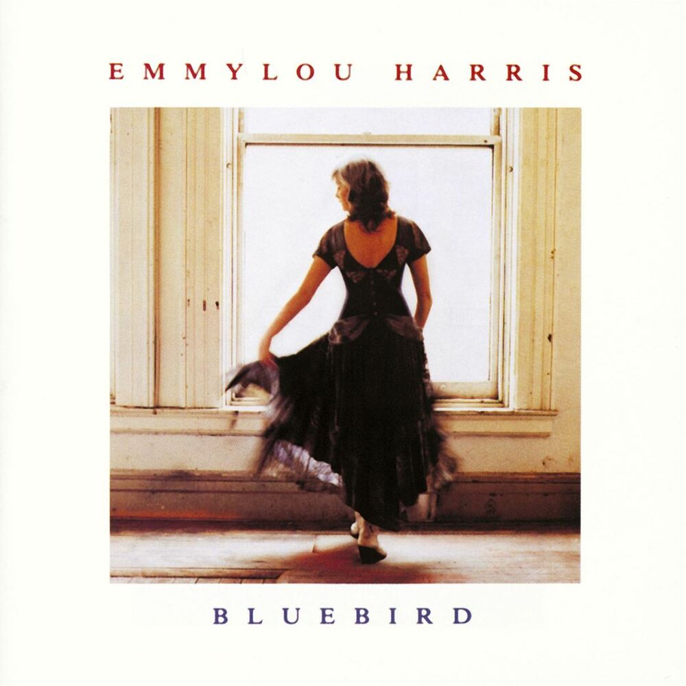 Picture of Bluebird