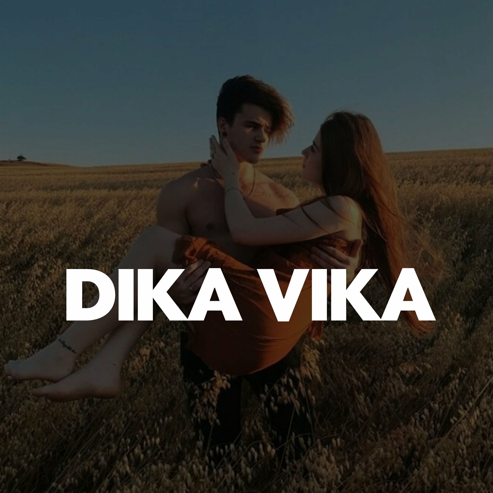 Album cover of Dika Vika