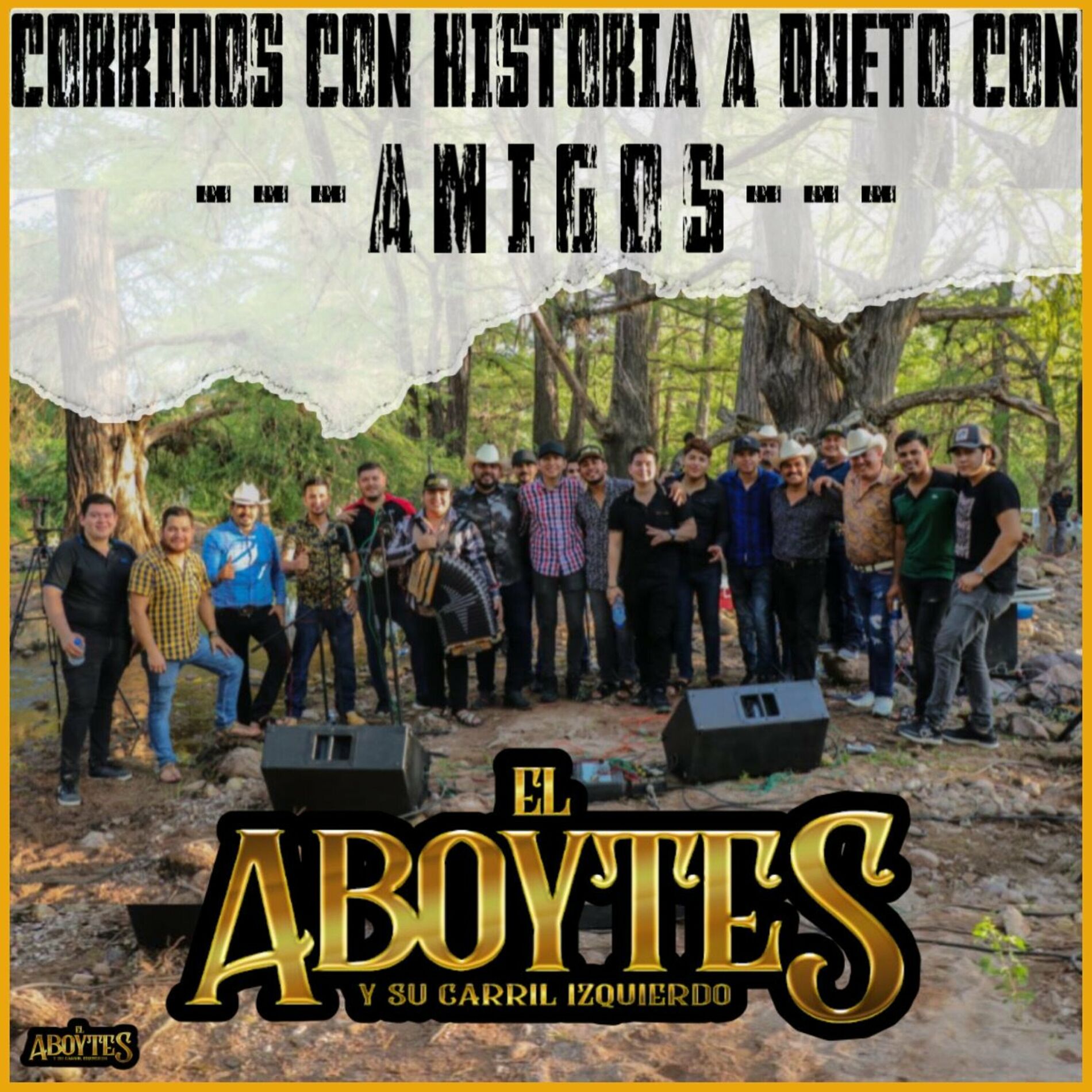 Album cover of Recordando A Los Beltrán (En Vivo)