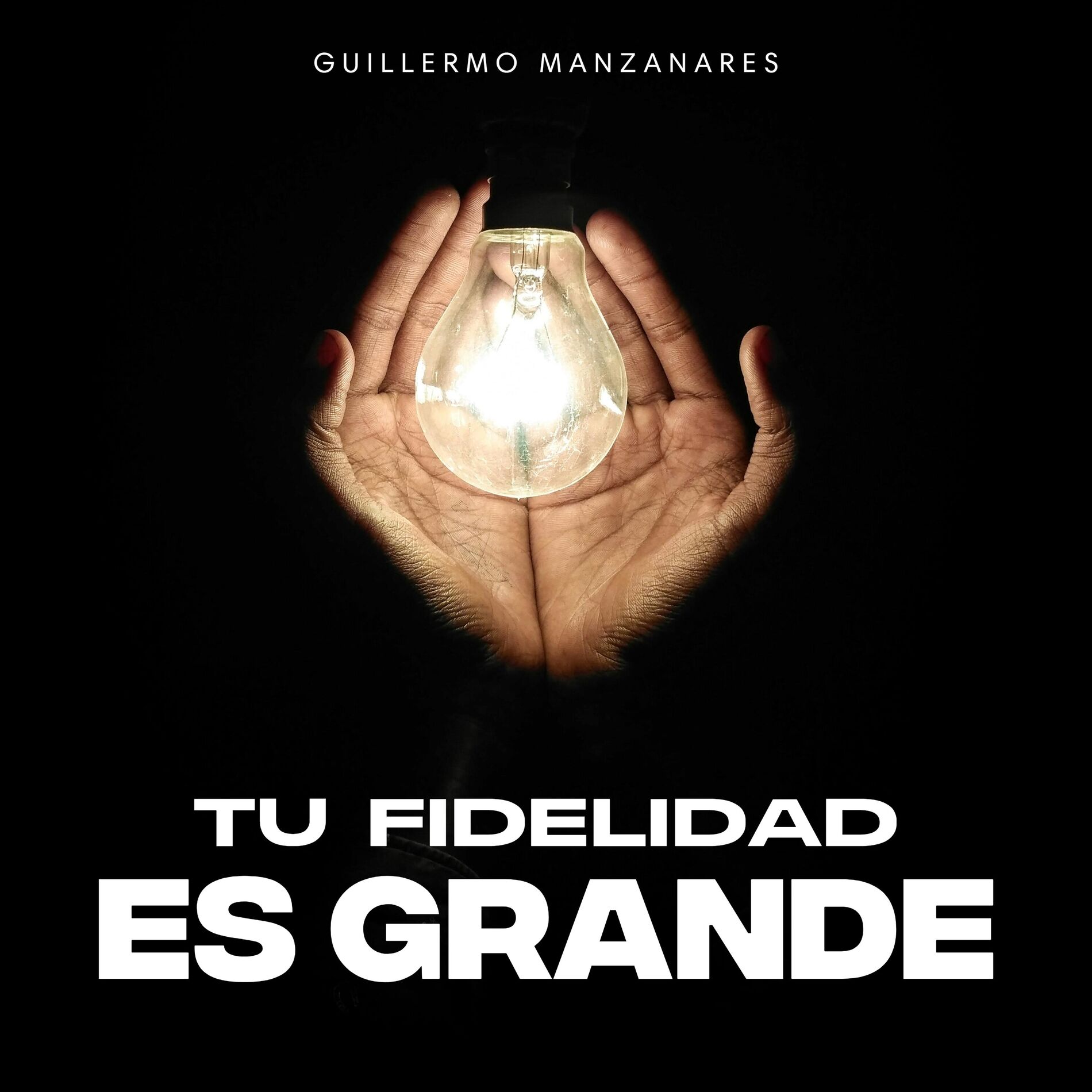 Album cover of Tu Fidelidad Es Grande