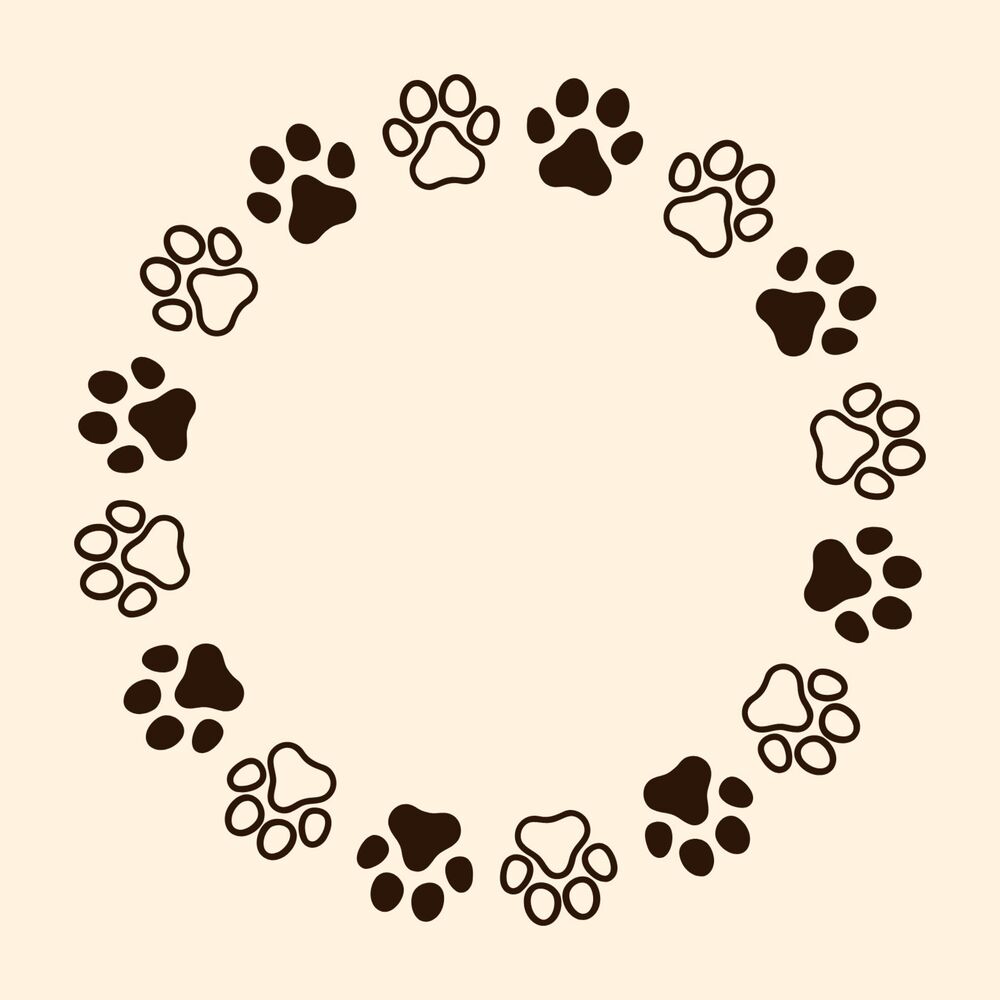 Picture of Piano for Cats: Whisker Melodies