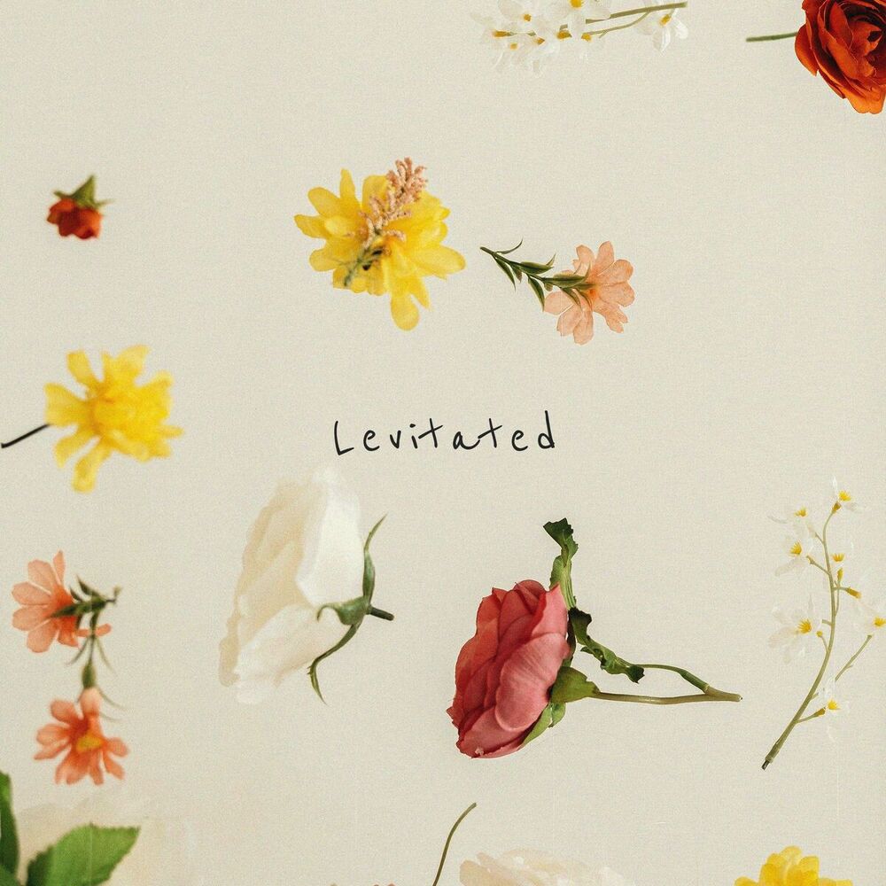 Picture of Levitated