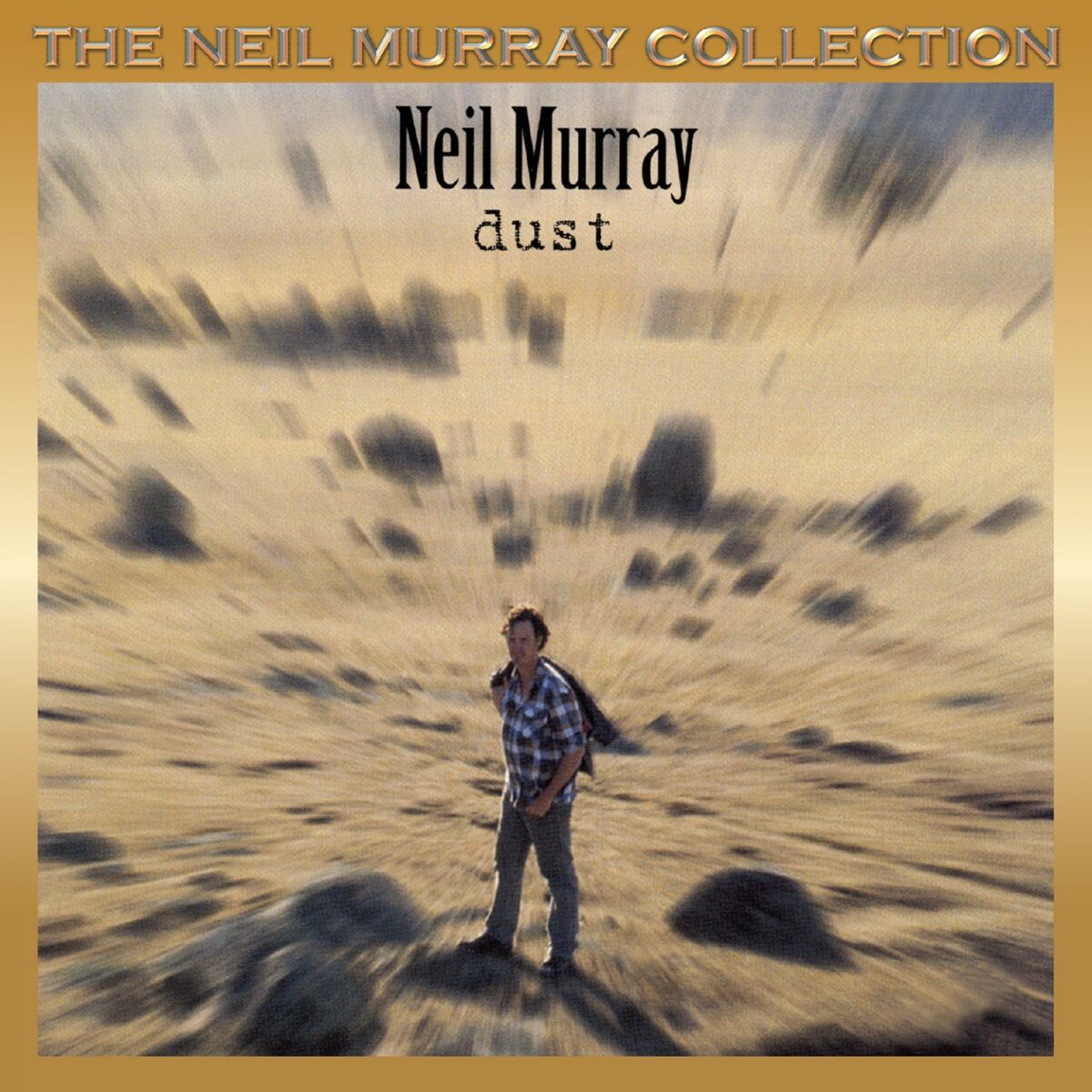 Album cover of Dust