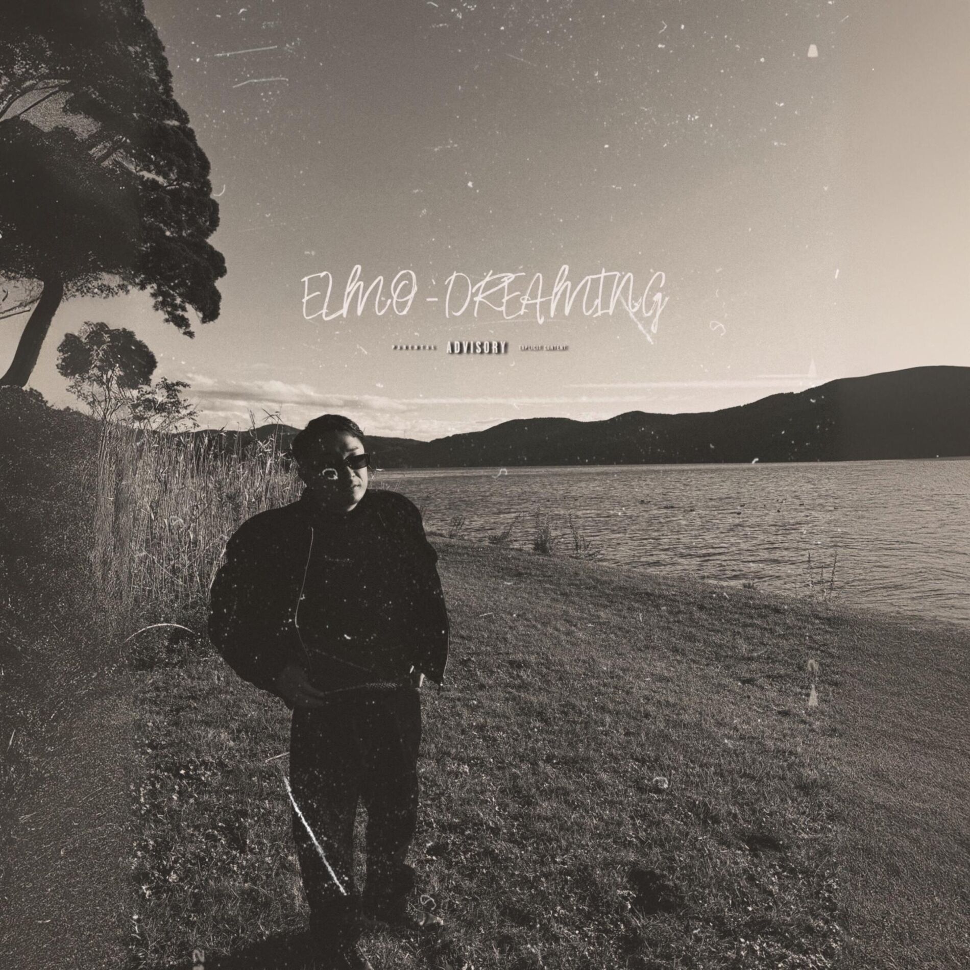 Album cover of Dreaming