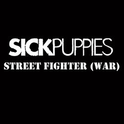 Cover of Street Fighter War