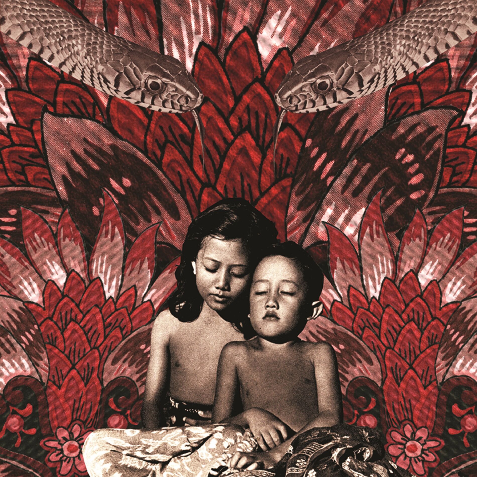 Album cover of Dissolve Me