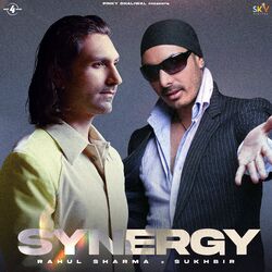 Cover of SYNERGY