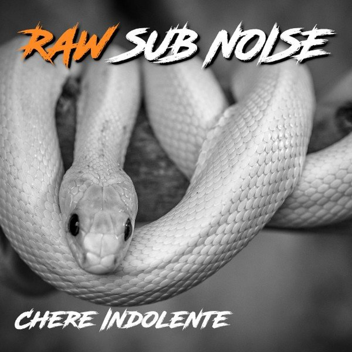 Album cover of Chere Indolente