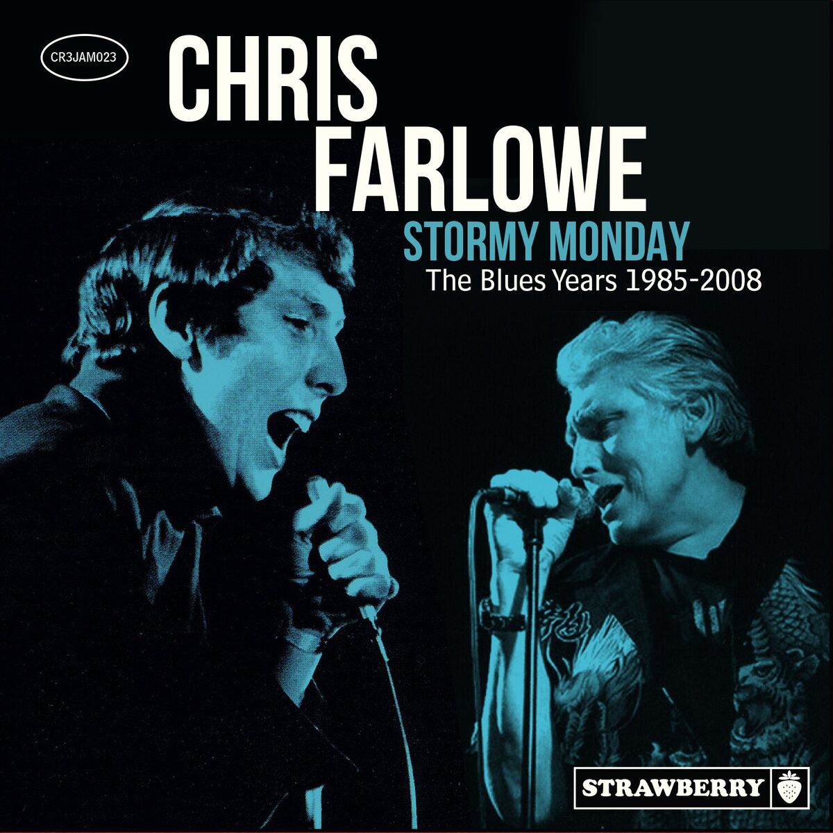 Album cover of Stormy Monday: The Blues Years 1985-2008