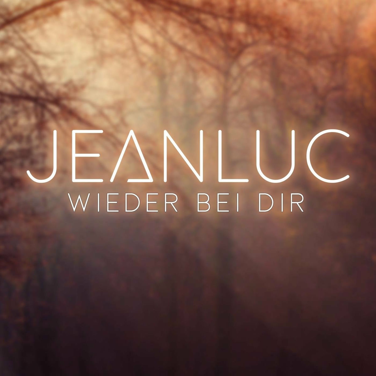 Album cover of Wieder bei dir