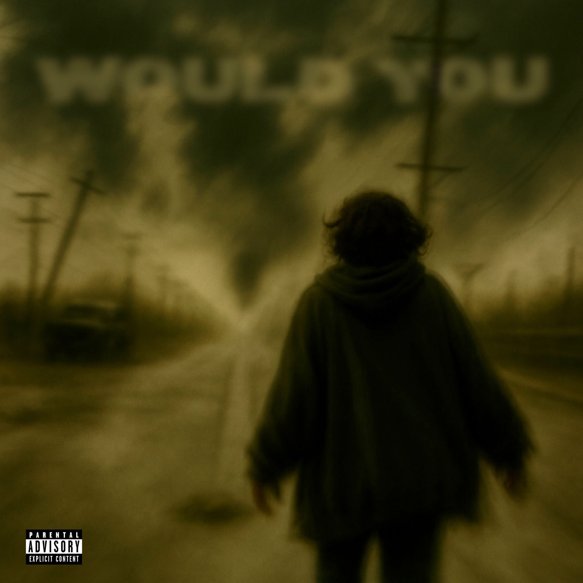 Album cover of Would You / Try to call