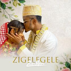 Cover of Zigelegele