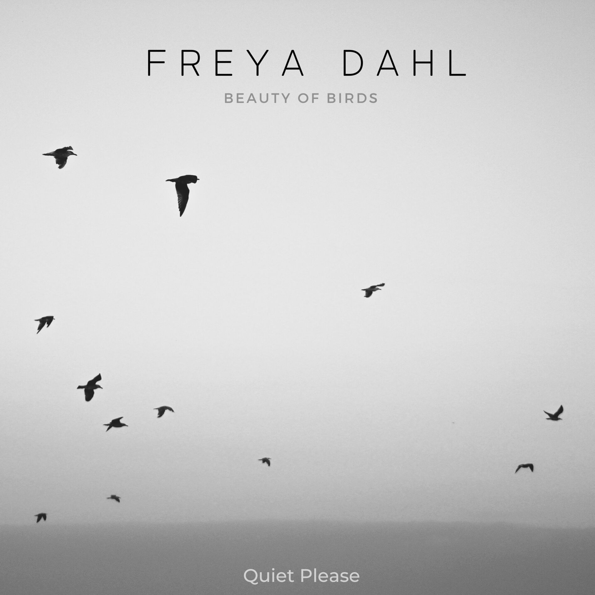 Album cover of Beauty Of Birds