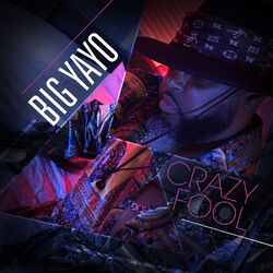 Cover of Crazy Fool