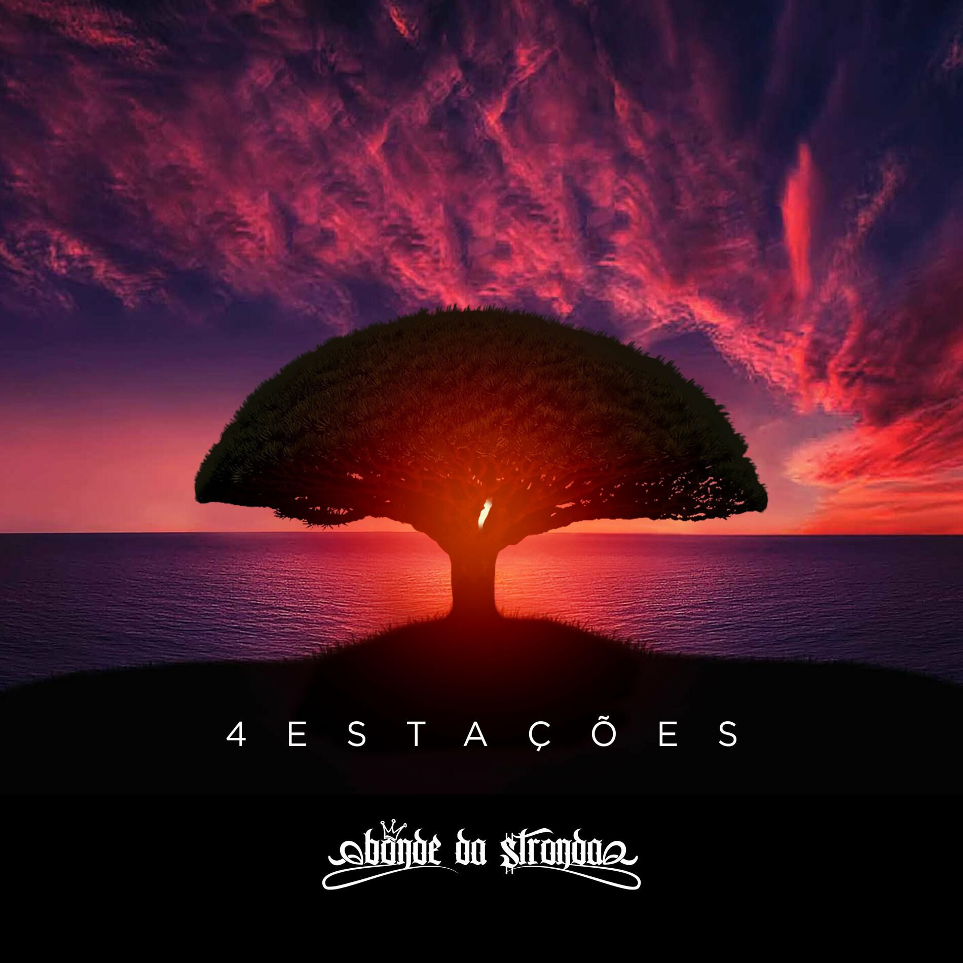 Album cover of 4 Estações