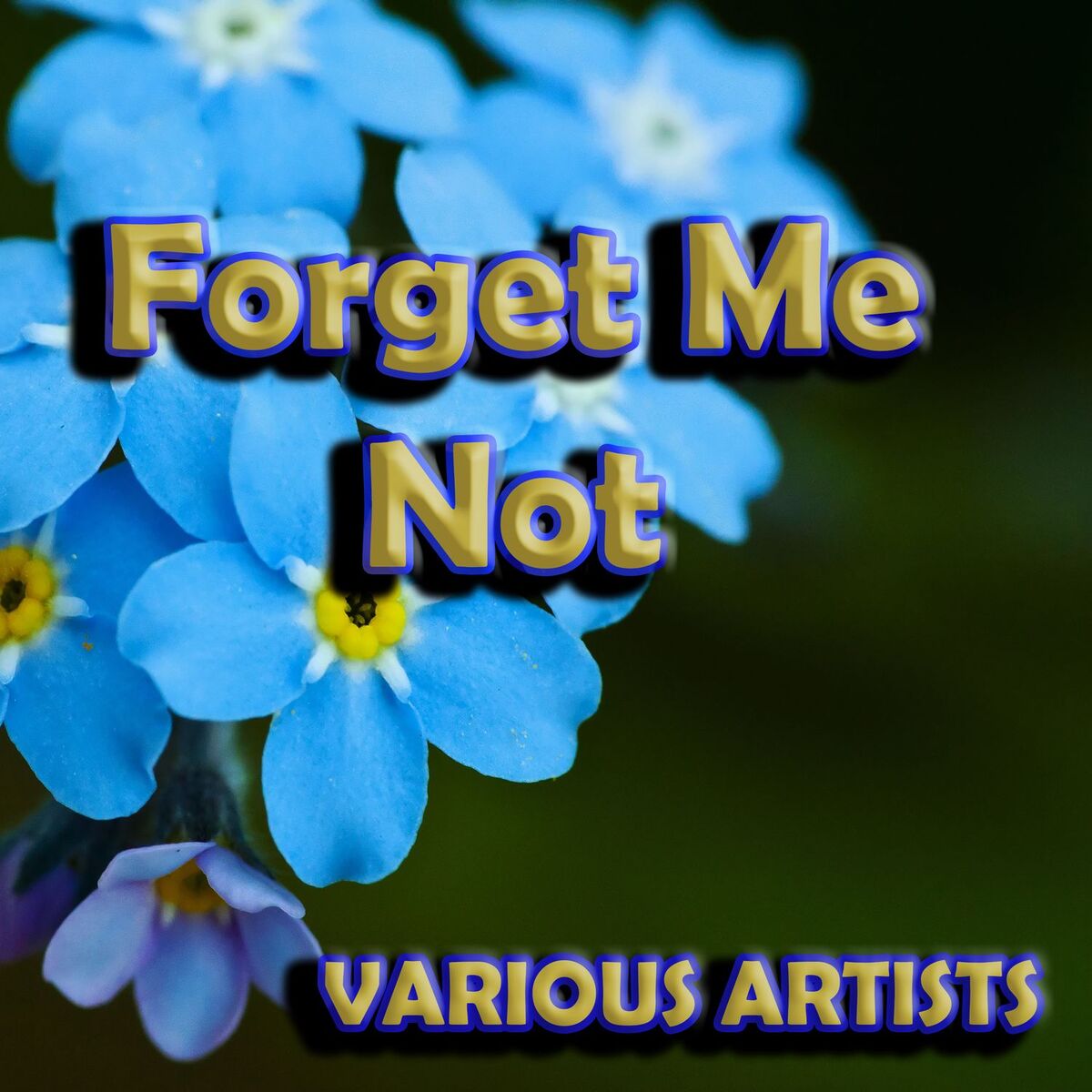 Album cover of Forget Me Not