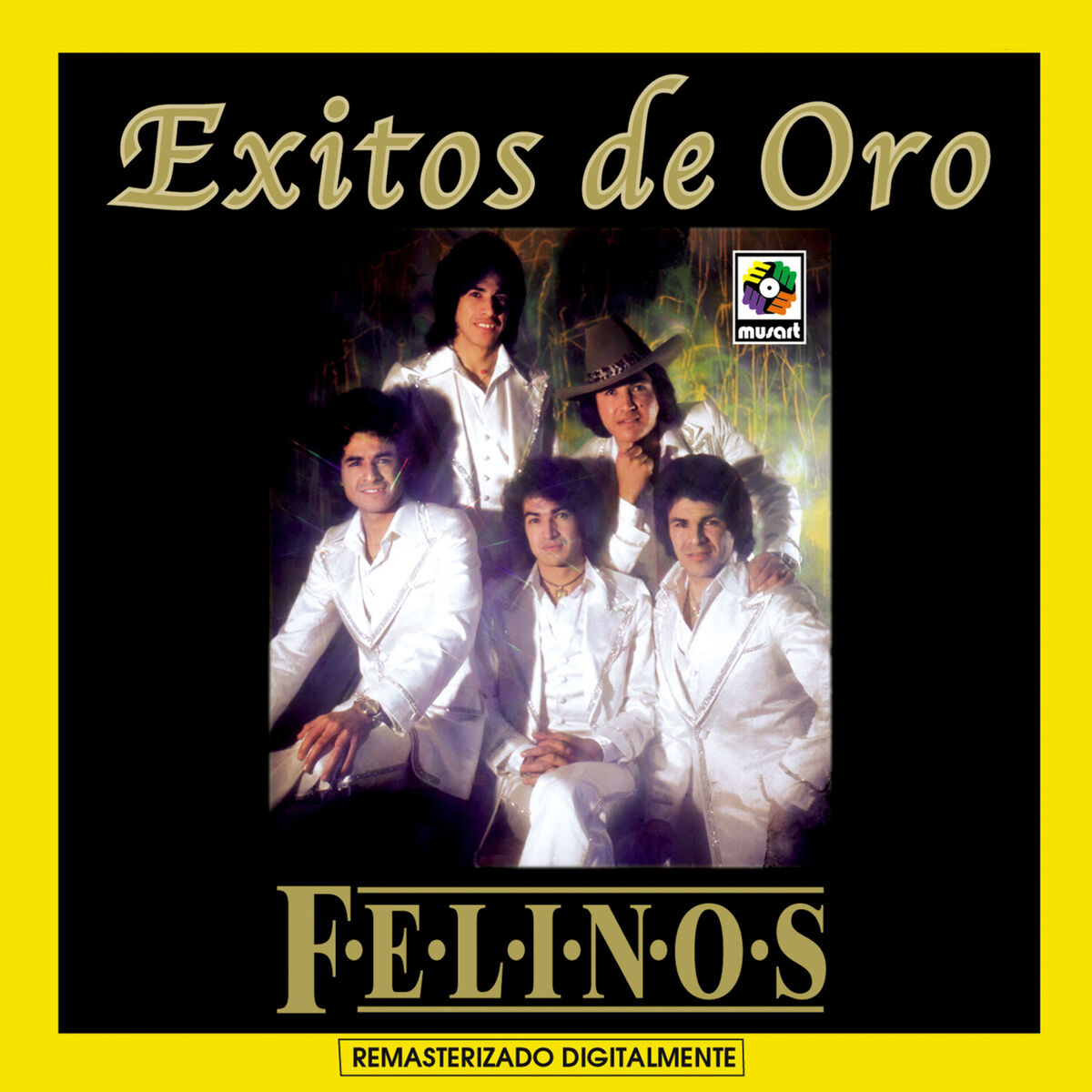 Album cover of Éxitos de Oro