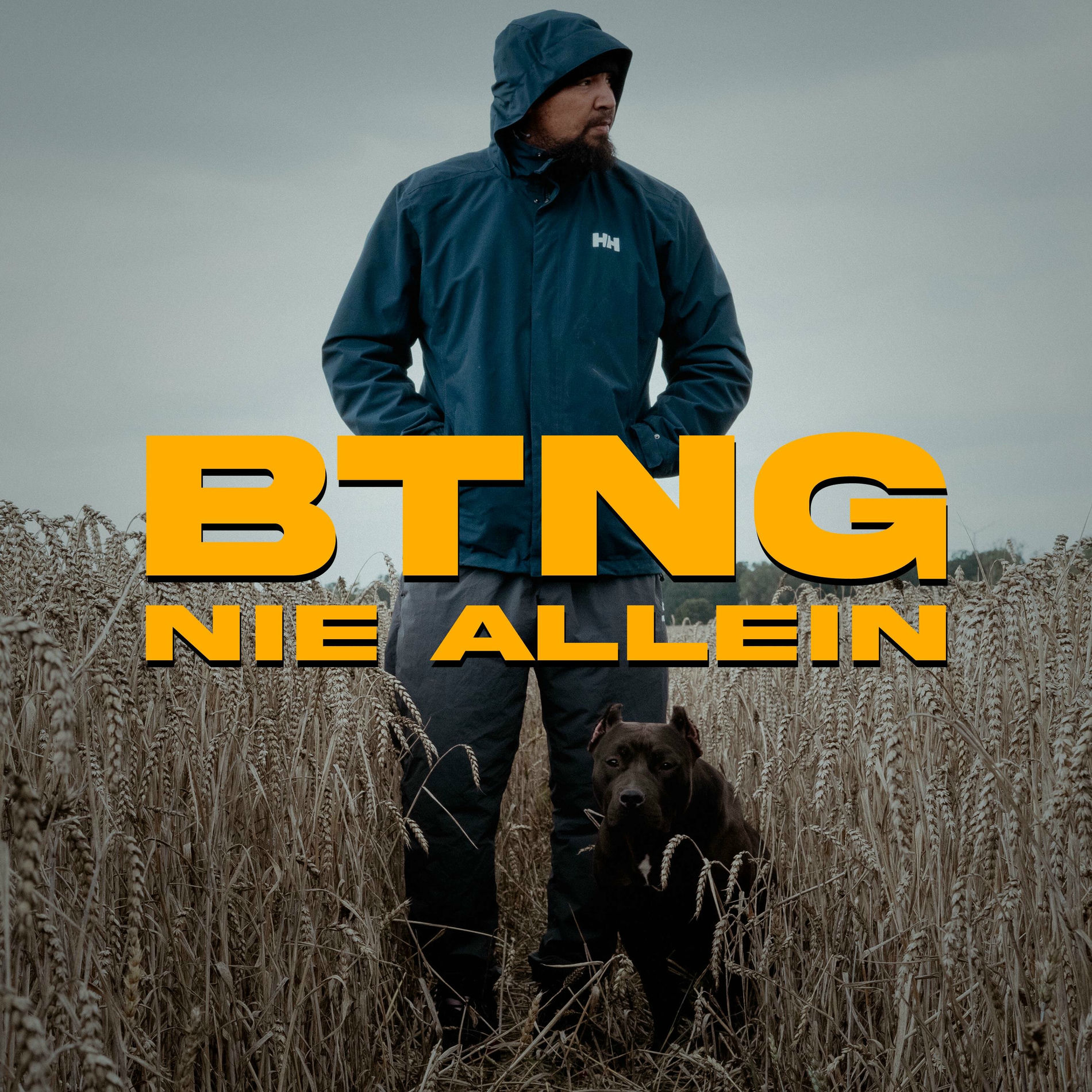 Album cover of Nie Allein