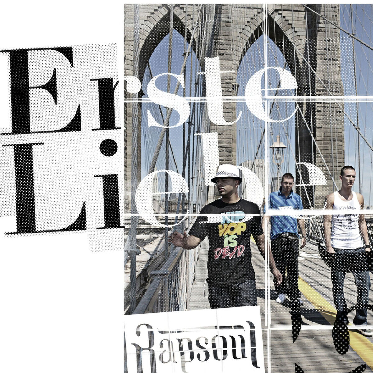 Album cover of Erste Liebe