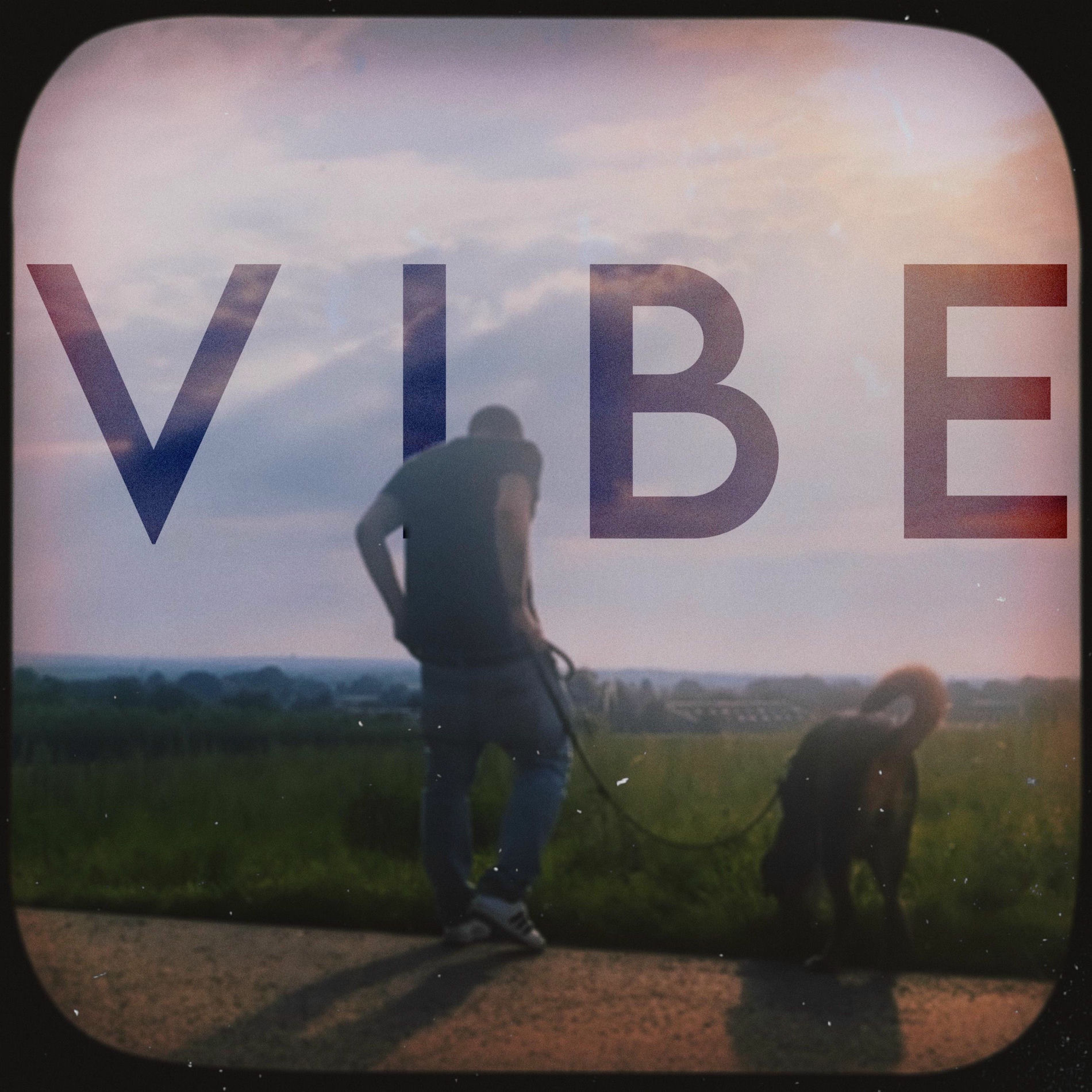 Album cover of Vibe