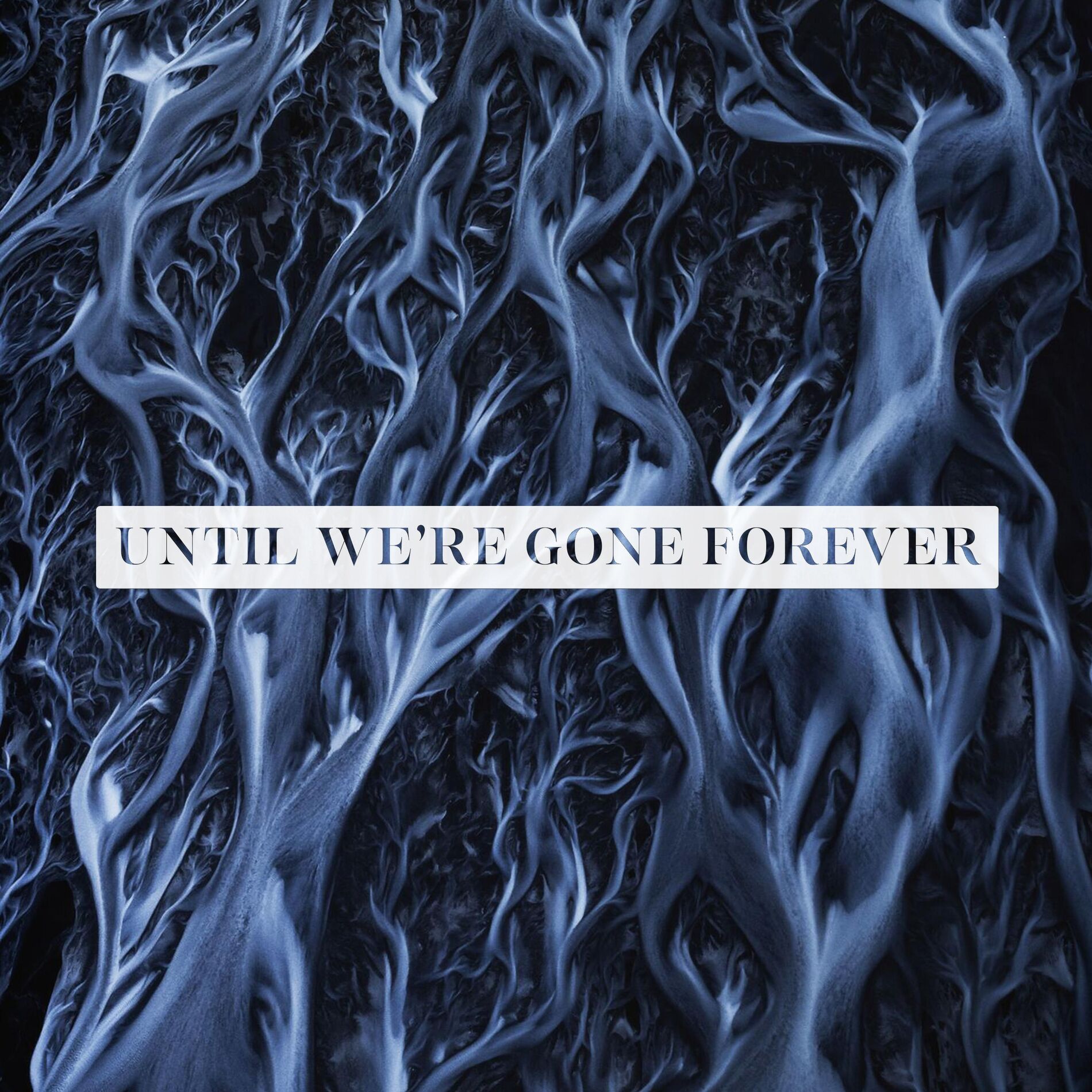 Album cover of Until We're Gone Forever