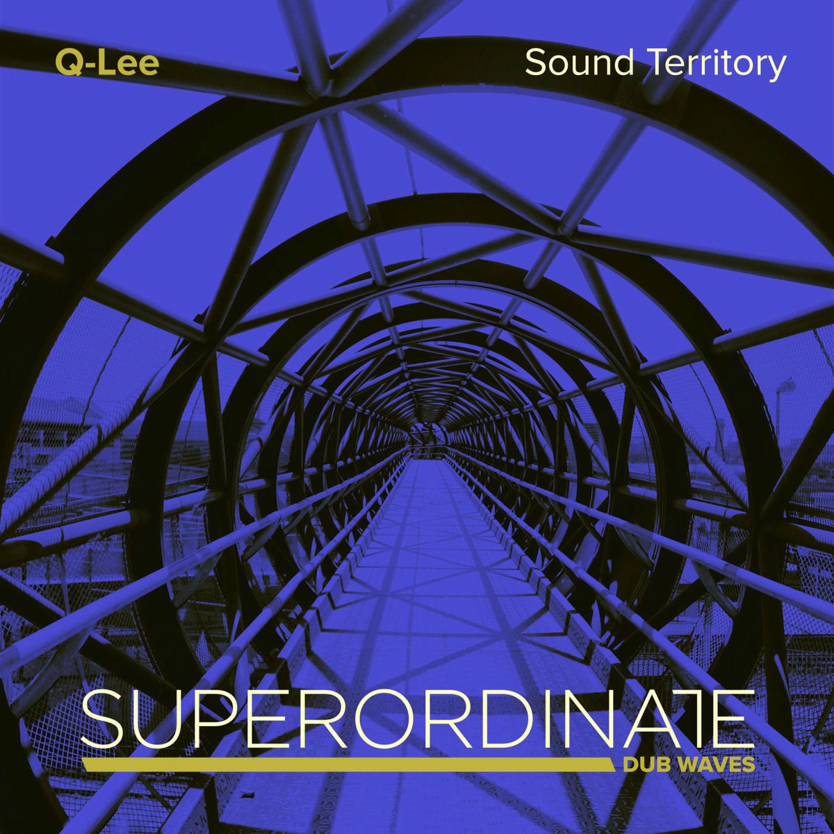 Album cover of Dub Techno Label Mix