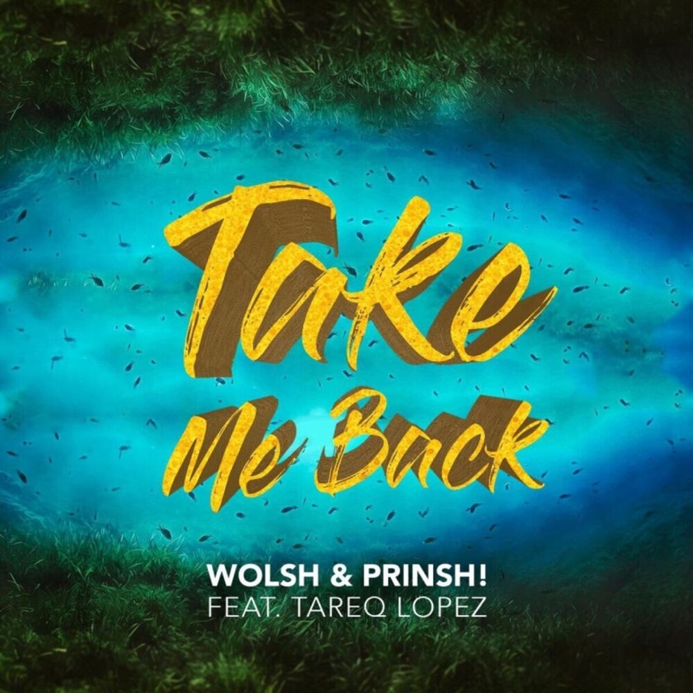Picture of Take Me Back