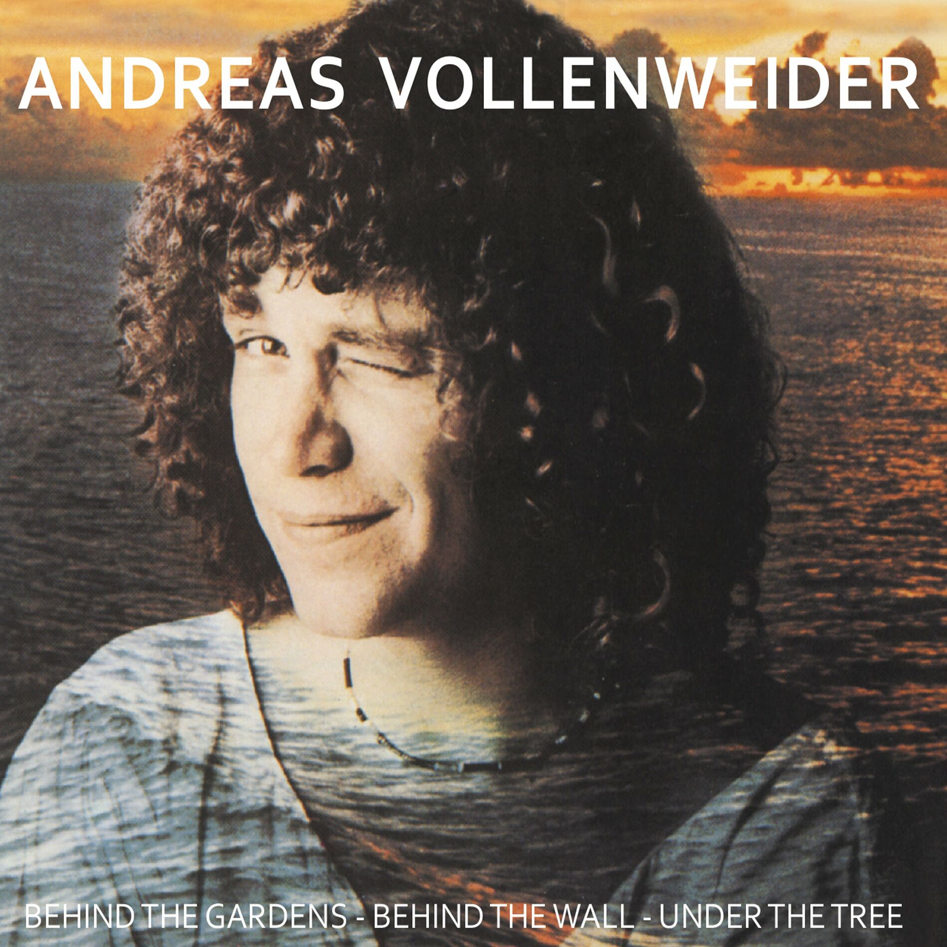 Album cover of Behind the Gardens, Behind the Wall, Under the Tree...