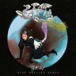 Cover of Holes (Olof Dreijer Remix)