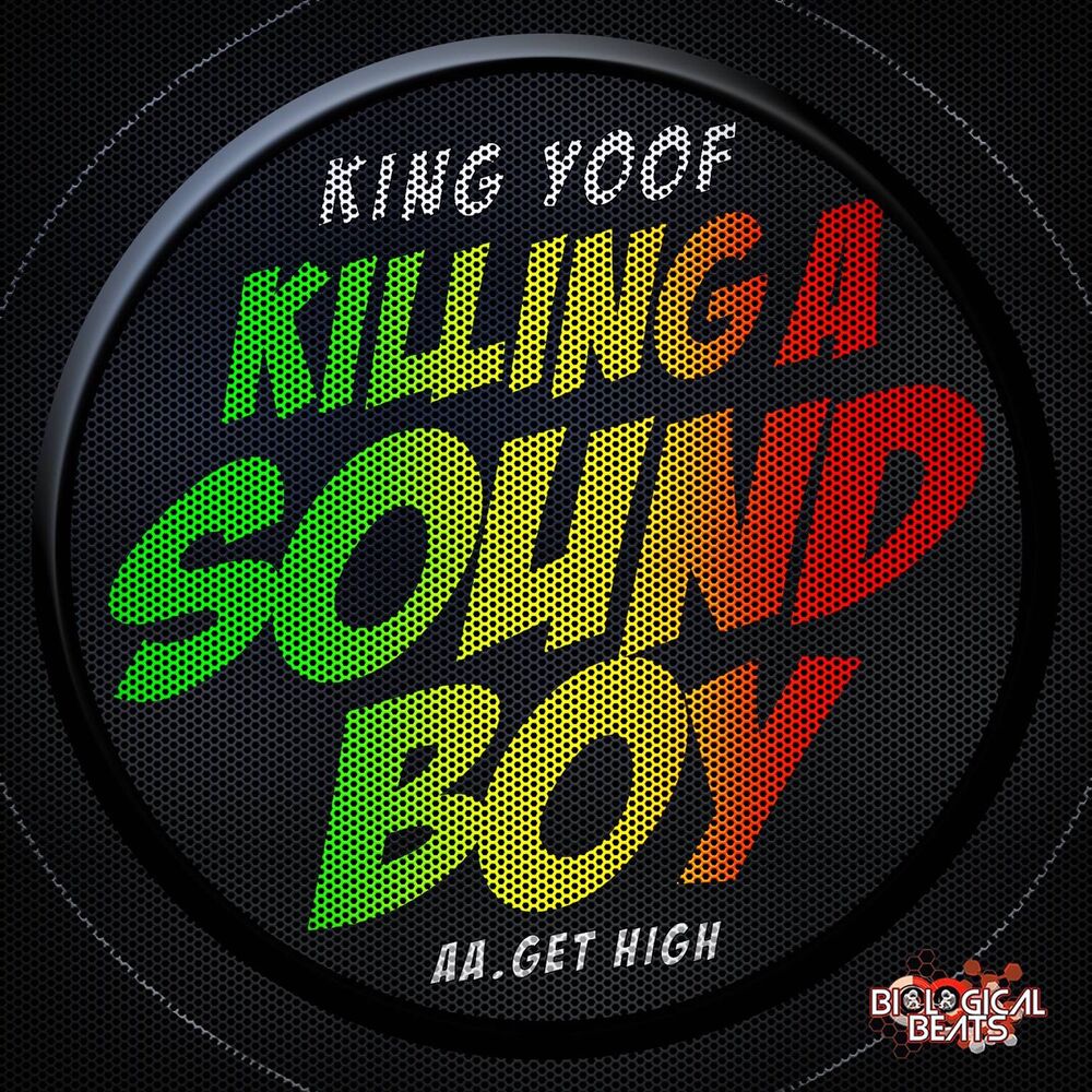 Picture of Killing a Soundboy / Get High