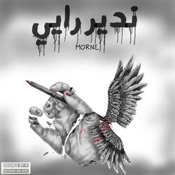 Cover of NDIR RAYI