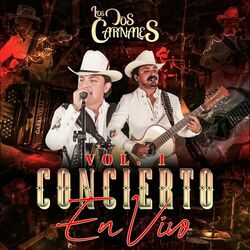 Cover of Concierto En Vivo, Vol. 1