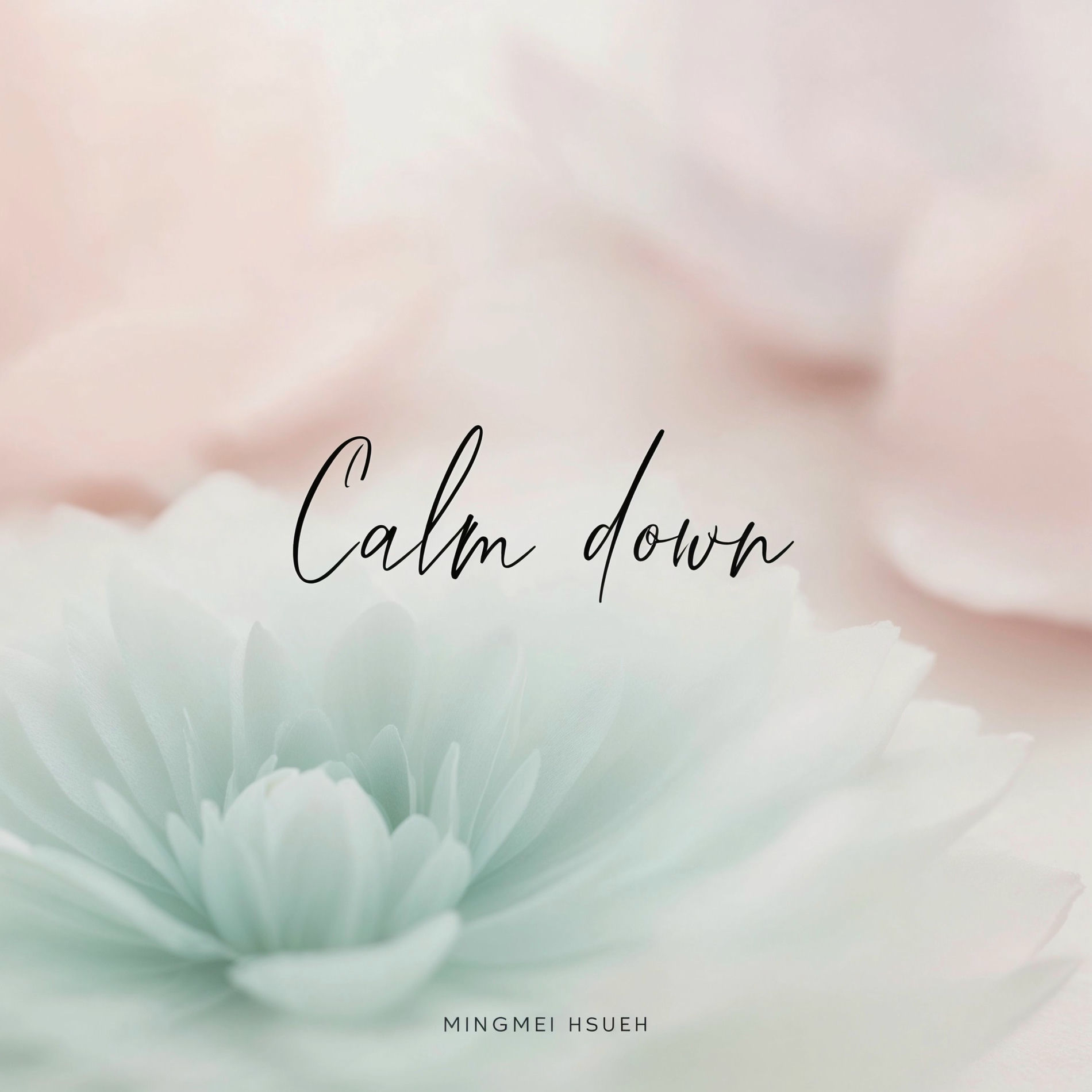 Album cover of Calm Down