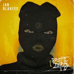 Cover of Pretty B!Tch