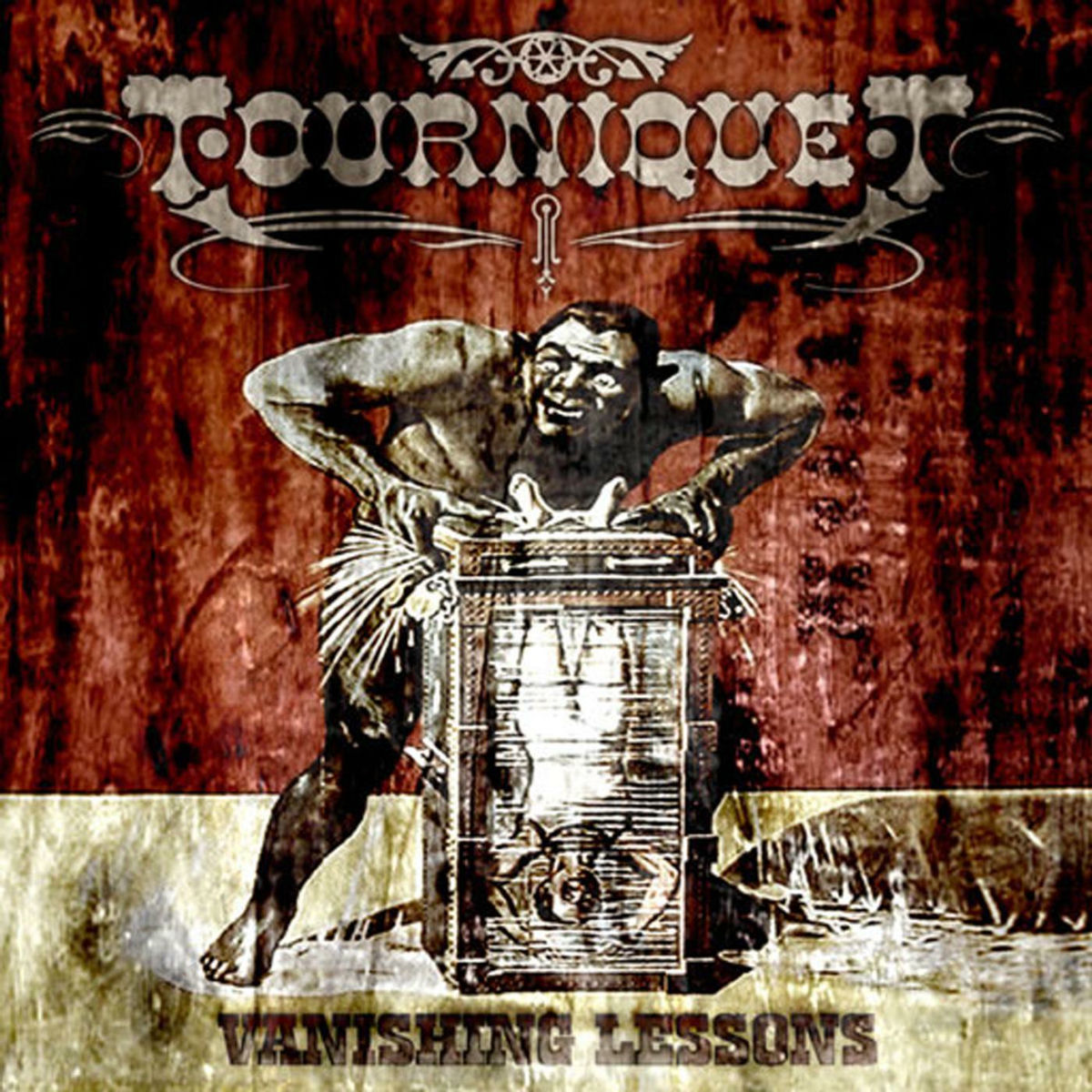 Album cover of Vanishing Lessons